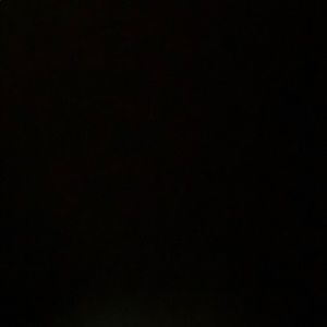 Meet your Posher, Jodie